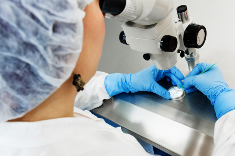 Woman examines a sample with a microscope.