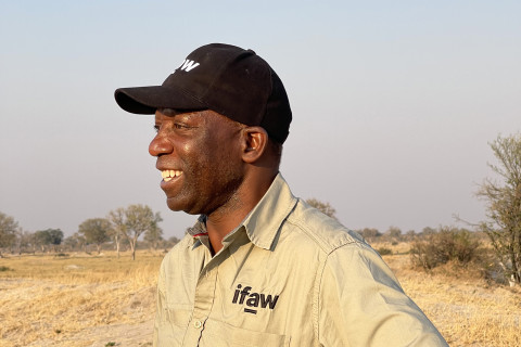 Jimmiel J. Mandima.