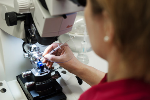 Laboratory work.