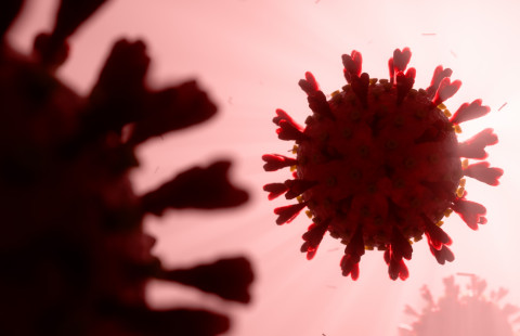 SARS-CoV-2 virus